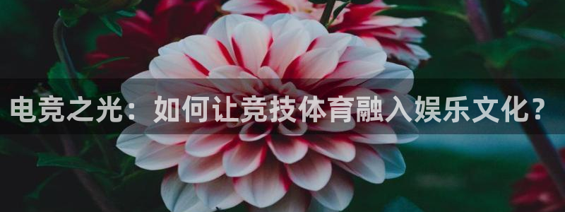 im电竞注册金：电竞之光：如何让竞技体育融入娱乐文化？