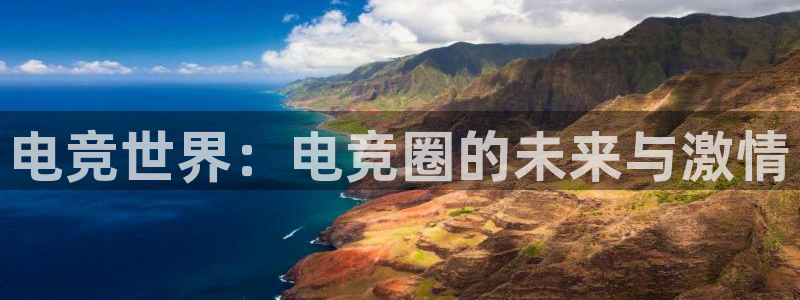 im电竞,im电竞平台app：电竞世界：电竞圈的未来与激情