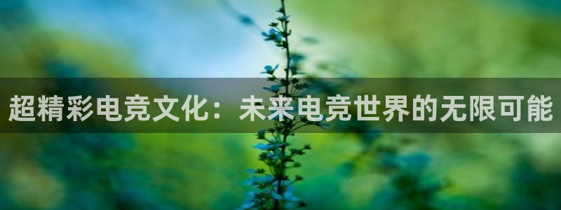 im电竞俱乐部：超精彩电竞文化：未来电竞世界的无限可能