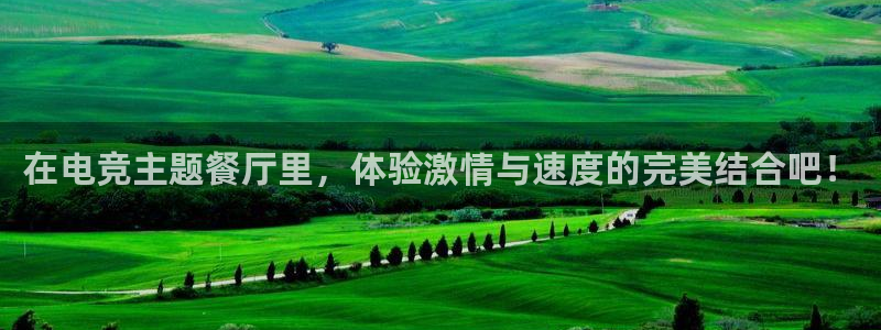 im电竞·(中国)：在电竞主题餐厅里，体验激情与速度的完美结合吧！
