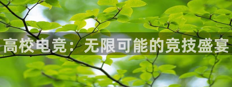 im电竞平台ios：高校电竞：无限可能的竞技盛宴