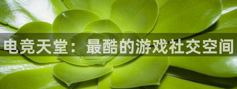 im电竞不结算：电竞天堂：最酷的游戏社交空间