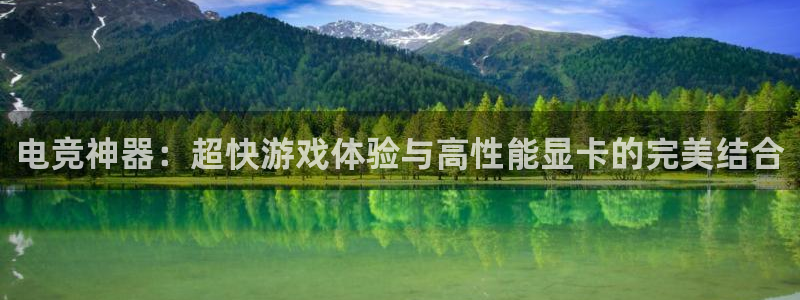 bobim电竞：电竞神器：超快游戏体验与高性能显卡的完美结合
